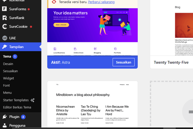 Appearance di WordPress: Pusat Kustomisasi Tampilan Website tampilan